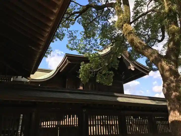 若松恵比須神社 の本殿・本堂