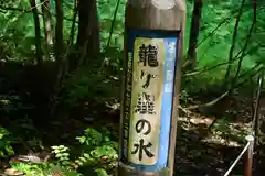 龍ヶ窪神社(新潟県)