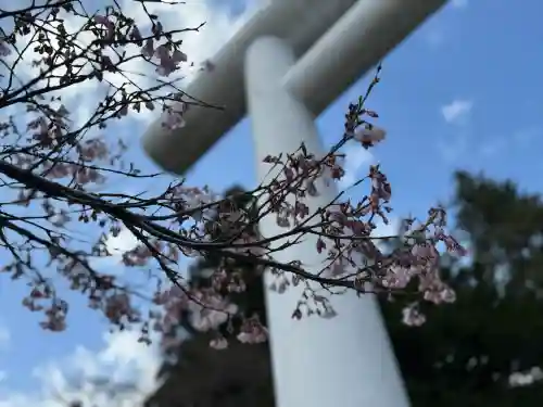 土津神社｜こどもと出世の神さまの{uncategorized: "未分類", other: "その他", undefined: "問題あり", building: "その他建物", grave: "お墓", sacred_gate: "鳥居", guardian: "狛犬", statue: "像", buddha: "仏像", history: "歴史", nature: "自然", garden: "庭園", animal: "動物", pagoda: "塔", temizu: "手水舎", mountain_gate: "山門・神門", sanctuary: "本殿・本堂", subordinate: "末社・摂社", art: "芸術", scenery: "景色", jizo: "地蔵", ema: "絵馬", goshuin: "御朱印", omikuji: "おみくじ", items: "授与品その他", amulet: "お守り", goshuincho: "御朱印帳", eats: "食事", festival: "お祭り", votive_dance: "神楽", shichigosan: "七五三参", wedding: "結婚式", experience: "体験その他", initially: "初詣", around: "周辺", anti_infection: "感染症対策"}