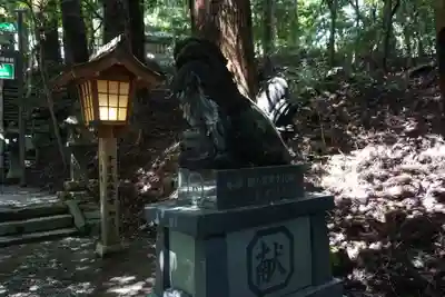 高千穂神社の狛犬