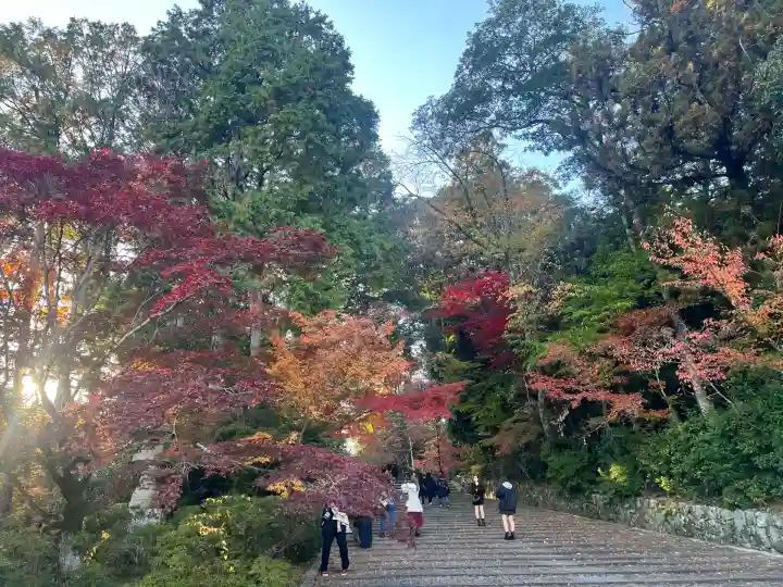 光明寺(粟生光明寺)(京都府)