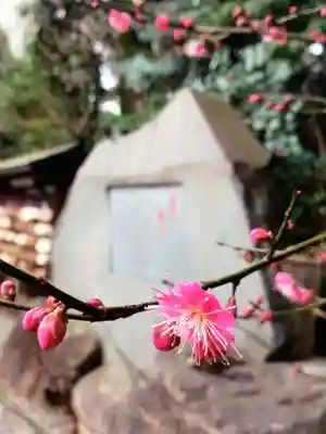 乃木神社(東京都)
