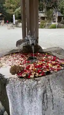 出雲大社相模分祠の手水舎