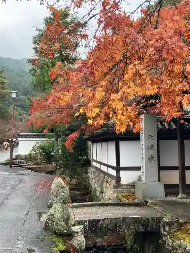 天授庵(京都府)