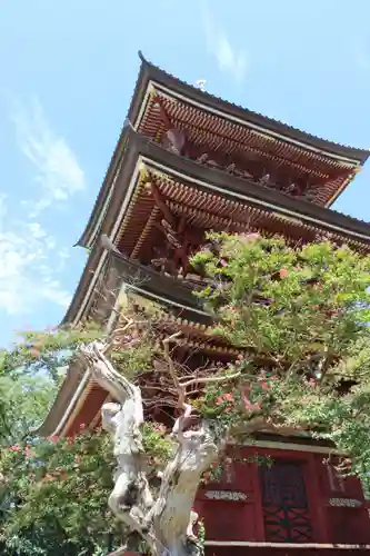 不動院(板橋不動尊)の塔