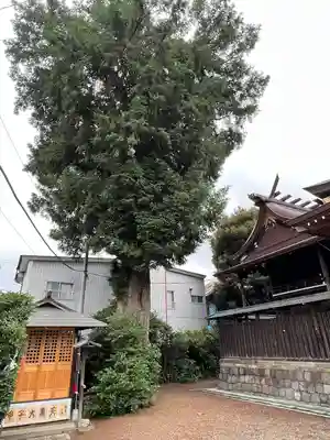 健田須賀神社(茨城県)