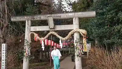 下野 星宮神社の鳥居