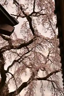 法蓮寺(愛媛県)