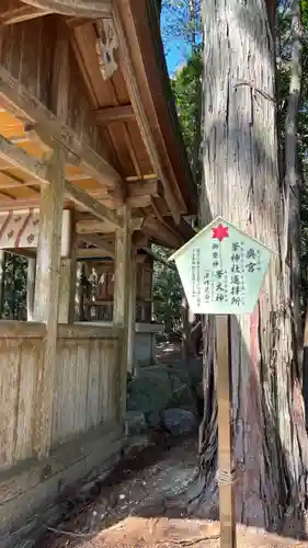 大麻比古神社(徳島県)