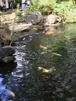 愛宕神社の庭園
