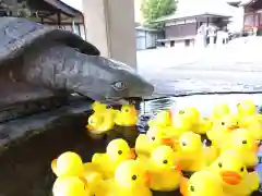 杉杜白髭神社の手水