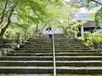 宝満宮竈門神社の自然