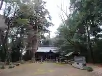 楯縫神社(茨城県)
