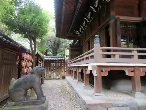 牛嶋神社の狛犬