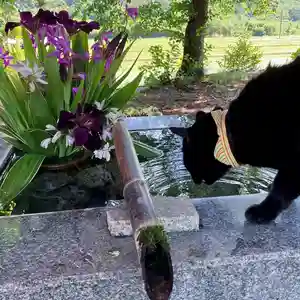 高司神社〜むすびの神の鎮まる社〜(福島県)(2023年06月04日(日) 10時17分45秒投稿)