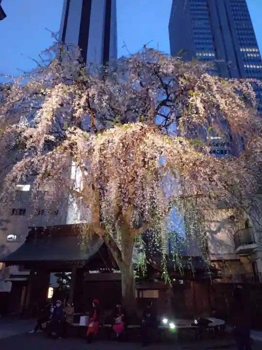 常圓寺(東京都)
