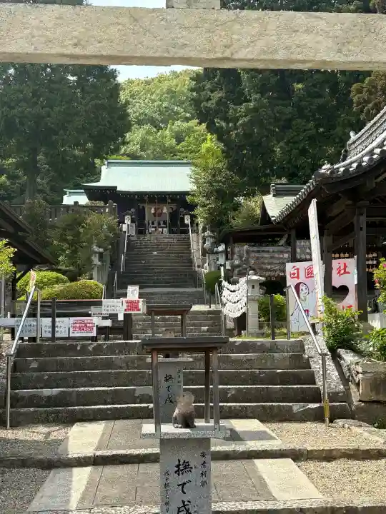 白國神社の{uncategorized: "未分類", other: "その他", undefined: "問題あり", building: "その他建物", grave: "お墓", sacred_gate: "鳥居", guardian: "狛犬", statue: "像", buddha: "仏像", history: "歴史", nature: "自然", garden: "庭園", animal: "動物", pagoda: "塔", temizu: "手水舎", mountain_gate: "山門・神門", sanctuary: "本殿・本堂", subordinate: "末社・摂社", art: "芸術", scenery: "景色", jizo: "地蔵", ema: "絵馬", goshuin: "御朱印", omikuji: "おみくじ", items: "授与品その他", amulet: "お守り", goshuincho: "御朱印帳", eats: "食事", festival: "お祭り", votive_dance: "神楽", shichigosan: "七五三参", wedding: "結婚式", experience: "体験その他", initially: "初詣", around: "周辺", anti_infection: "感染症対策"}