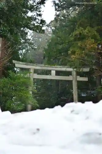 彌彦神社の鳥居