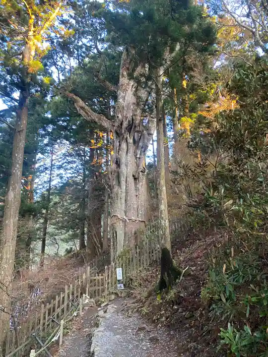 玉置神社(奈良県)