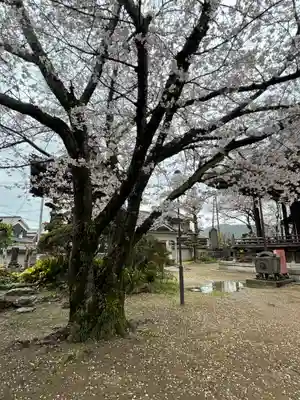 誓福寺(兵庫県)
