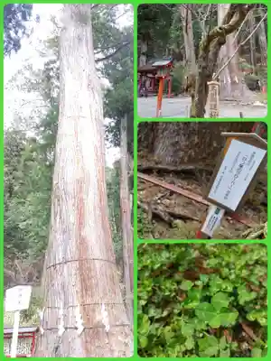 日光二荒山神社(栃木県)