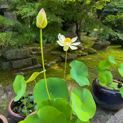 伊勢の国 四天王寺(三重県)