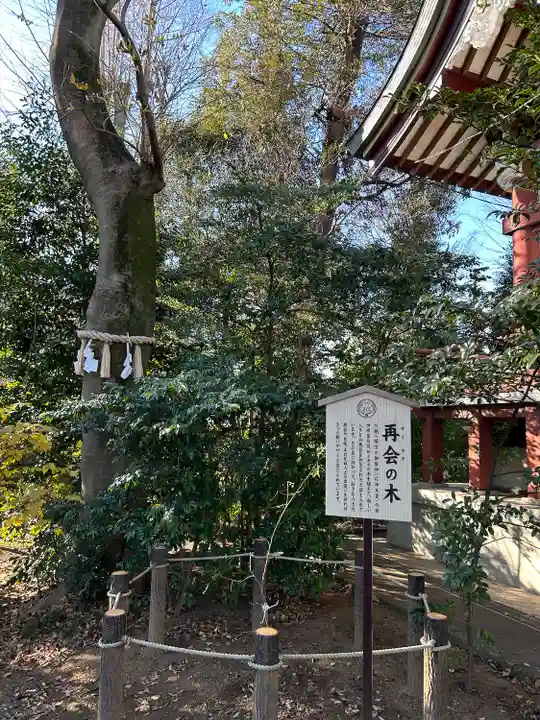 川越八幡宮(埼玉県)