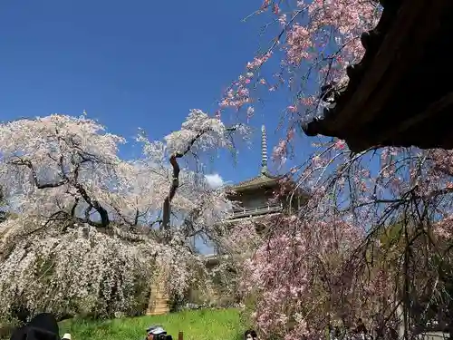 浄専寺の景色