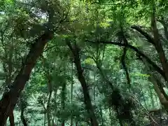 神社（名称不明）の自然