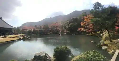 天龍寺の景色