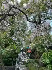 穴八幡宮(東京都)