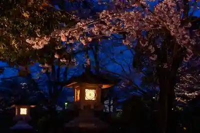 富士山本宮浅間大社(静岡県)