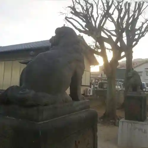 白髭神社の狛犬