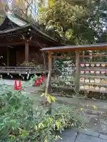 渋谷氷川神社(東京都)