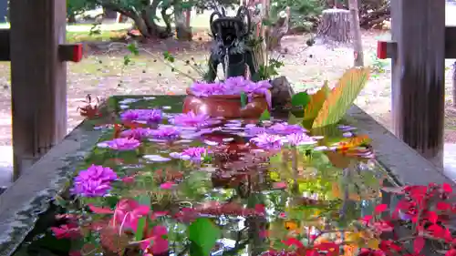 札幌護國神社の手水