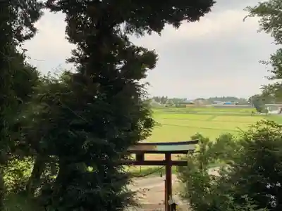 春日神社の景色