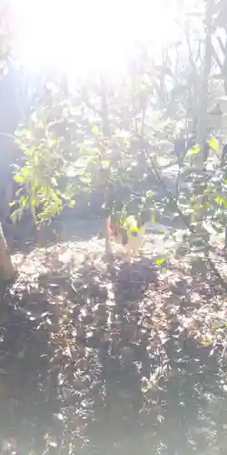 熱田神宮の動物