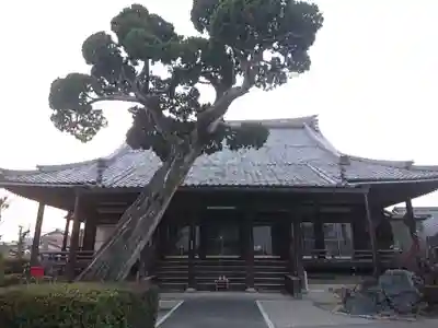 荘厳寺の本殿・本堂