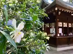 渋谷氷川神社の自然