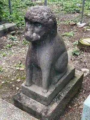 櫻岡大神宮の狛犬