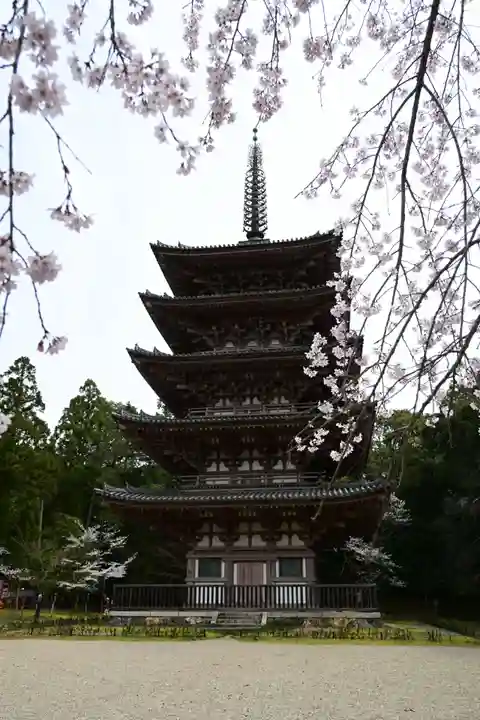 醍醐寺(京都府)