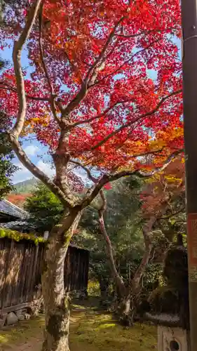 西明寺(京都府)