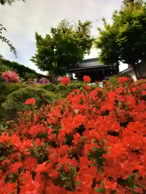 神足寺(東京都)