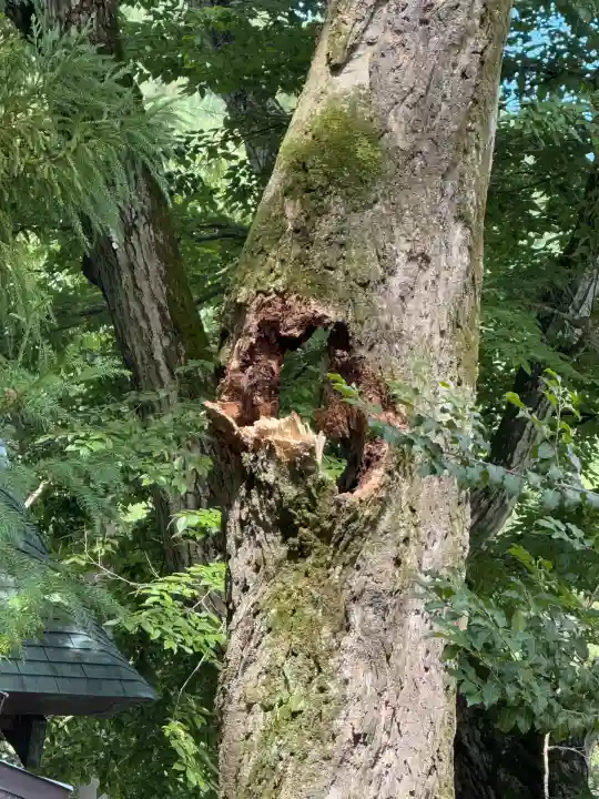 諏訪大社上社前宮(長野県)