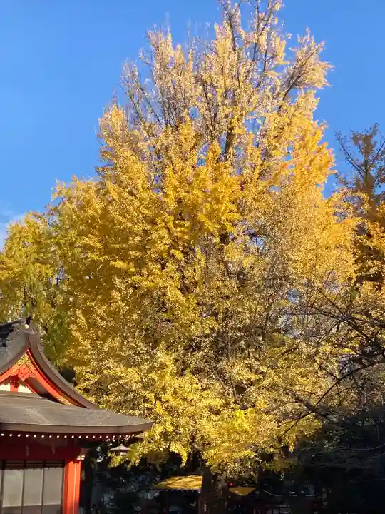 花園神社の自然