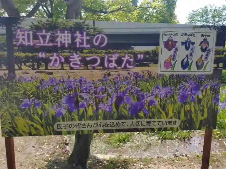 知立神社の{uncategorized: "未分類", other: "その他", undefined: "問題あり", building: "その他建物", grave: "お墓", sacred_gate: "鳥居", guardian: "狛犬", statue: "像", buddha: "仏像", history: "歴史", nature: "自然", garden: "庭園", animal: "動物", pagoda: "塔", temizu: "手水舎", mountain_gate: "山門・神門", sanctuary: "本殿・本堂", subordinate: "末社・摂社", art: "芸術", scenery: "景色", jizo: "地蔵", ema: "絵馬", goshuin: "御朱印", omikuji: "おみくじ", items: "授与品その他", amulet: "お守り", goshuincho: "御朱印帳", eats: "食事", festival: "お祭り", votive_dance: "神楽", shichigosan: "七五三参", wedding: "結婚式", experience: "体験その他", initially: "初詣", around: "周辺", anti_infection: "感染症対策"}
