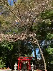 彌都加伎神社の鳥居