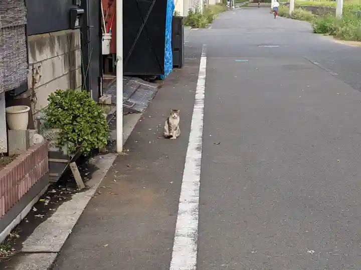潮田神社の動物