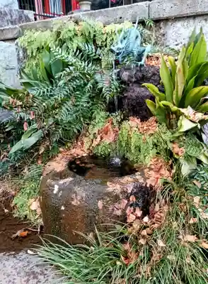 瀧泉寺（目黒不動尊）(東京都)