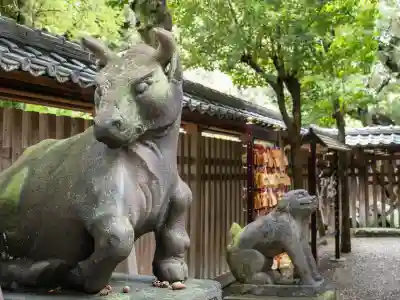 牛嶋神社の狛犬